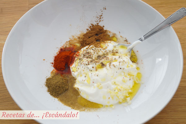 Ingredientes marinada pollo kebab