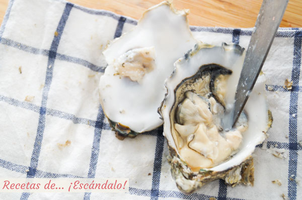 Ostras frescas