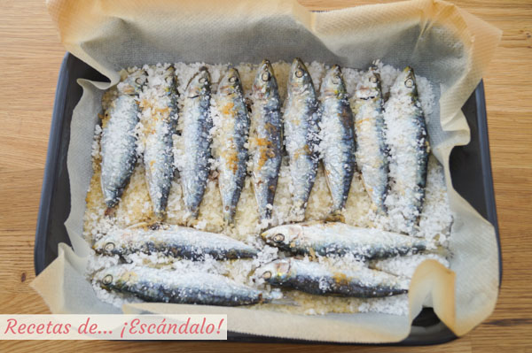 Como hacer sardinas al horno