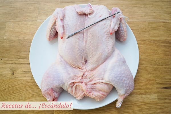 Aguja e hilo de bridar pollo relleno