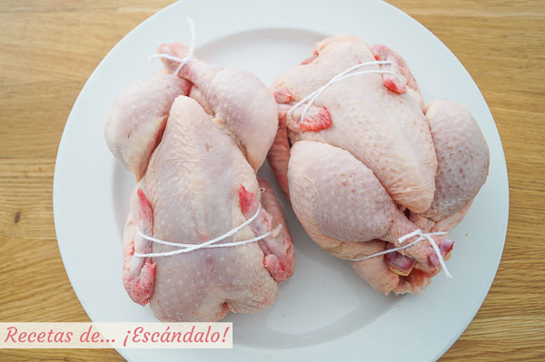 Picantones o pollos pequenos