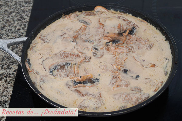 Ingredientes lomo de cerdo iberico en salsa de champinones