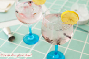 Receta y consejos para preparar el mejor Gin Tonic
