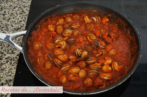 Caracoles en salsa tradicionales