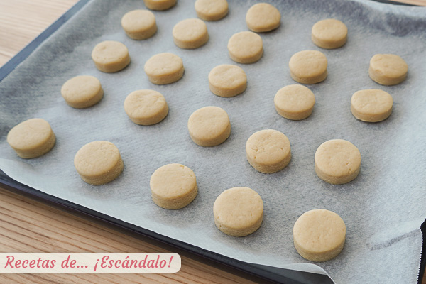 Nevaditos caseros navidenos