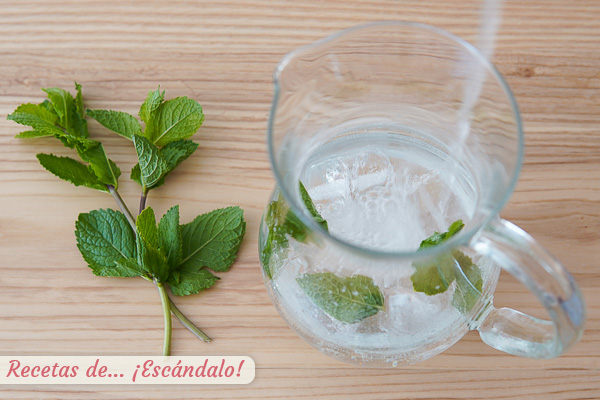 Refresco lima limon rebujito