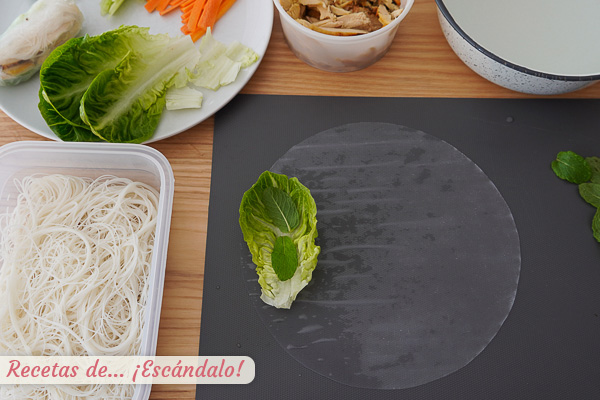 Lechuga y hierbabuena rollos vietnamitas